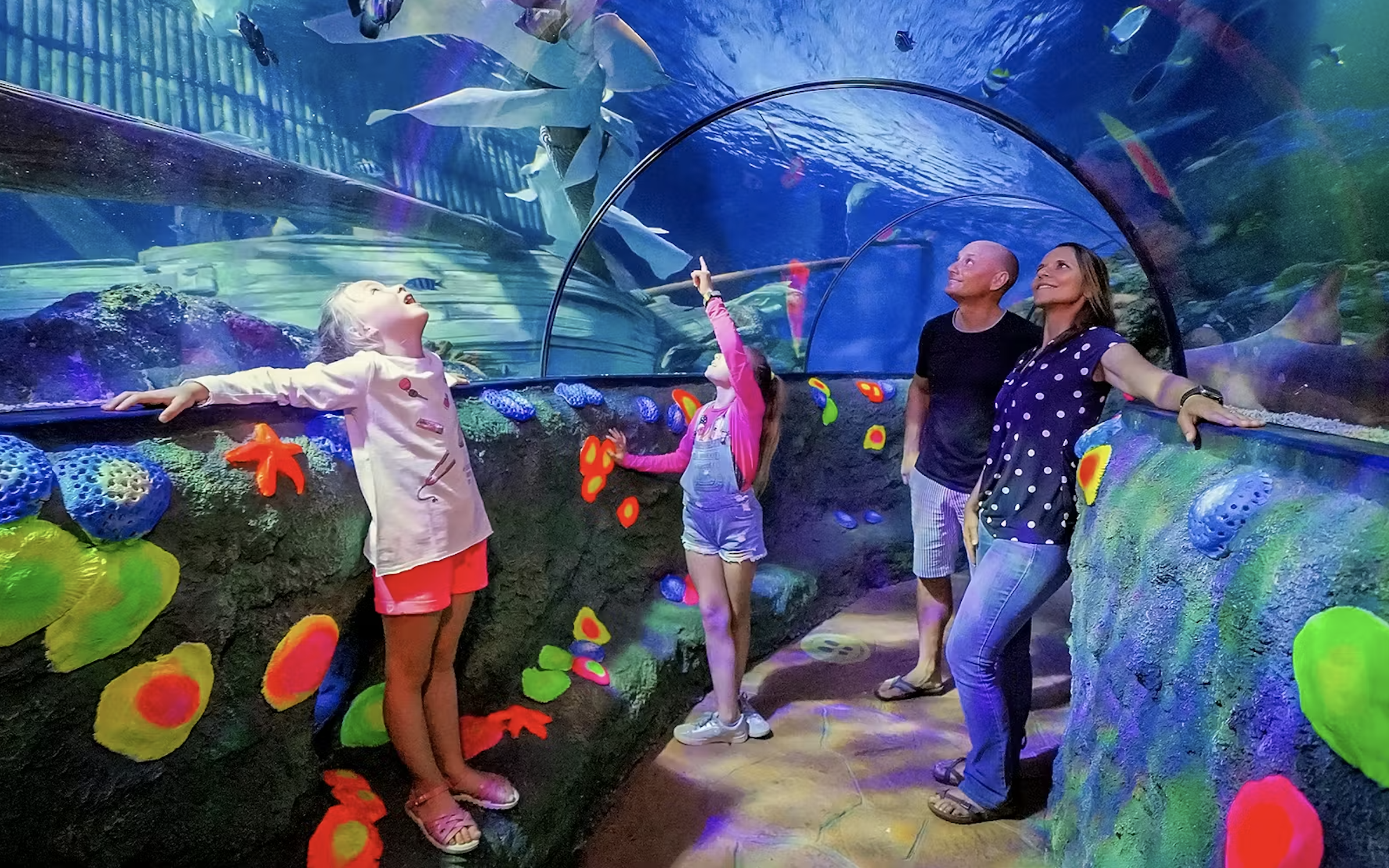 SEA LIFE AQUARIUM 2026